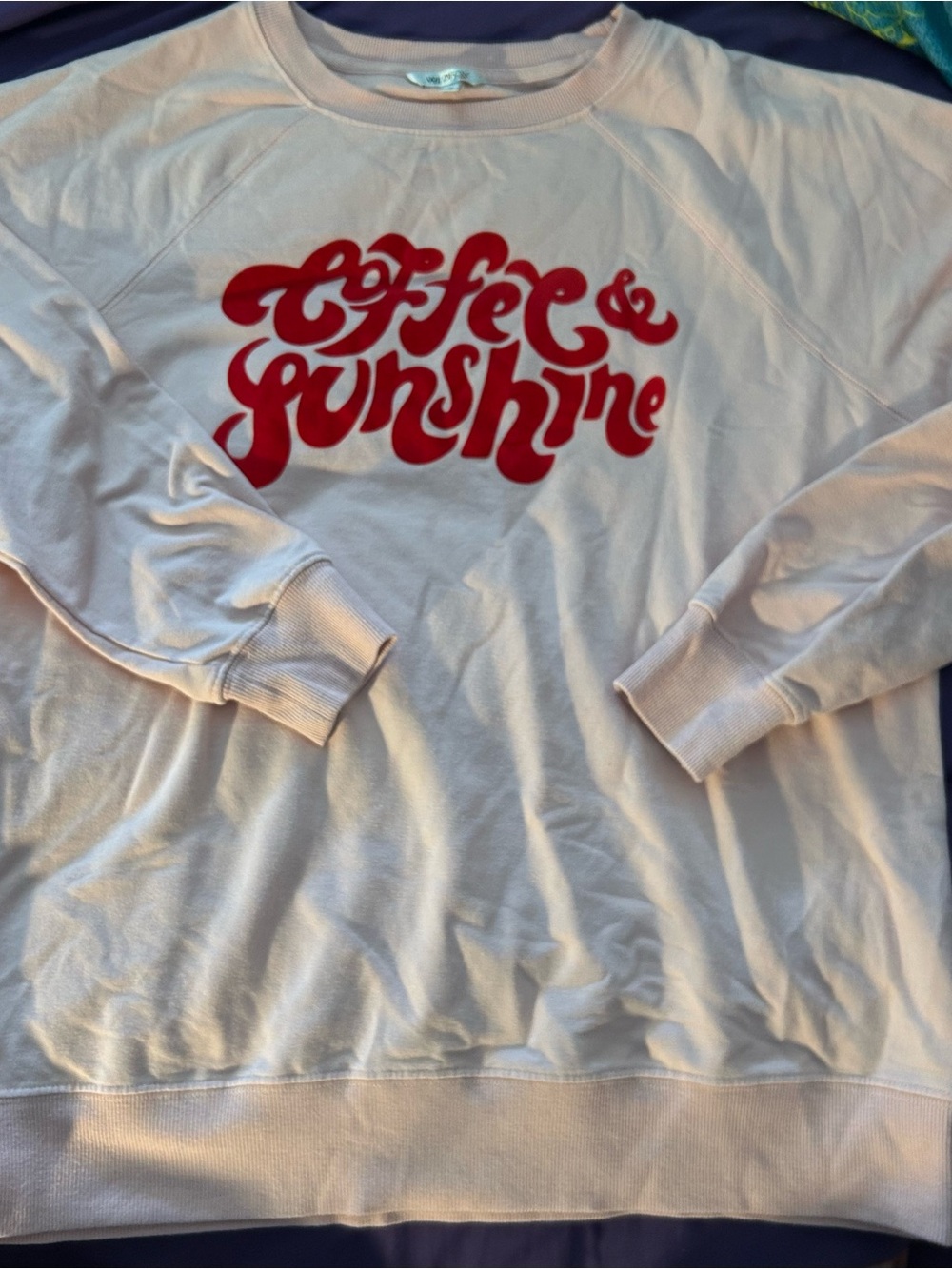 Wildfox "Coffee & Sunshine" Pale Pink Sweatshirt with Red Graphic Sz Small S